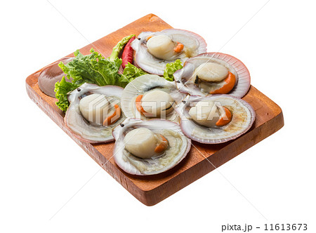 Raw fresh scallop 11613673