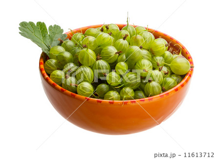 Gooseberries 11613712