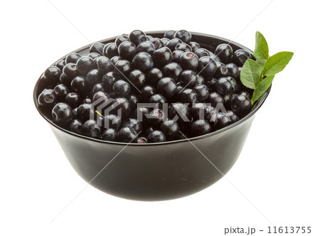 Blueberry 11613755