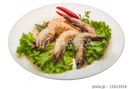 King Prawn King Prawn 11613856