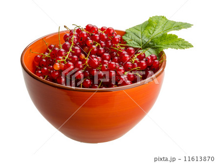Red currant 11613870