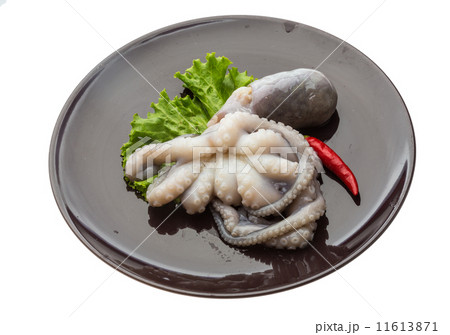 Raw octopus Raw octopus 11613871