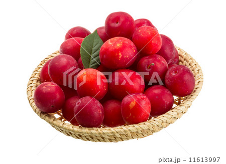 Damson plum Damson plum 11613997