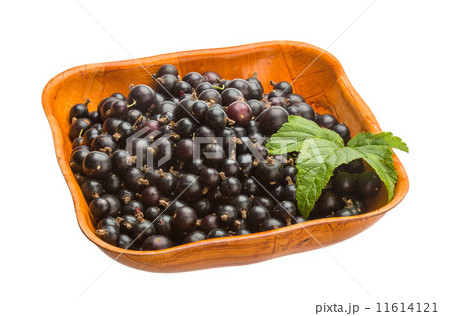 Black currant 11614121