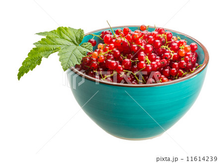 Red currant Red currant 11614239