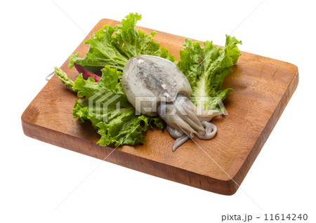 Raw cuttlefish Raw cuttlefish 11614240
