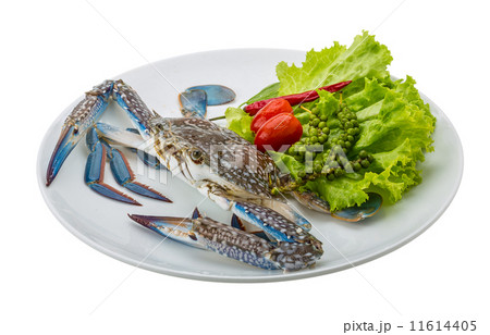 Raw blue crab 11614405
