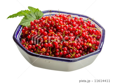 Red currant Red currant 11614411