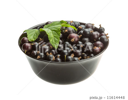 Black currant Black currant 11614448