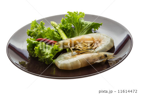 Tiger prawn 11614472