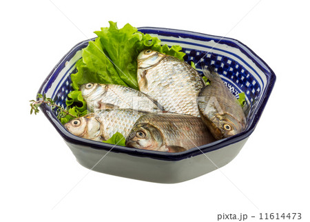 Crucian fish 11614473