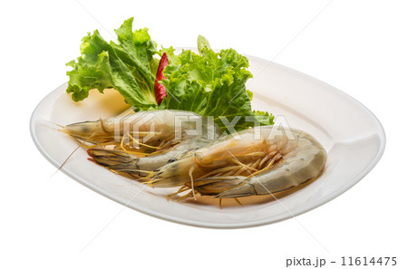 Tiger prawn 11614475