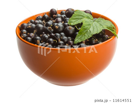Black currant 11614551