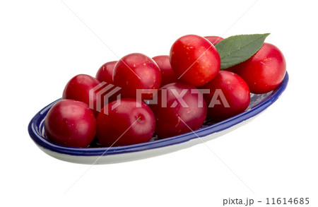 Damson plum 11614685