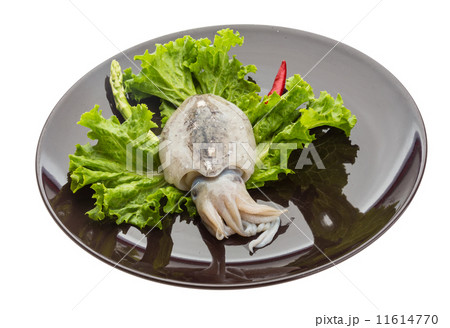 Raw cuttlefish 11614770