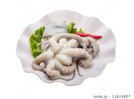 Raw octopus Raw octopus 11614807
