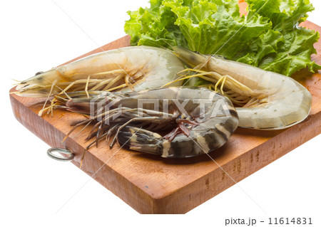 Tiger prawn 11614831