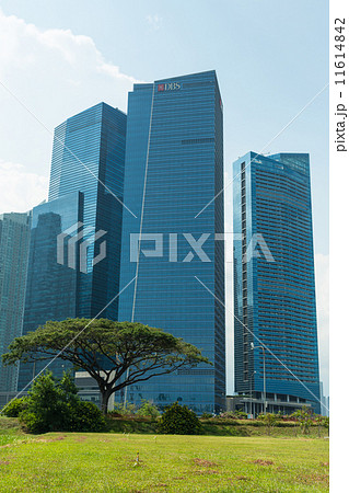 Buildings in Singapore skyline 11614842