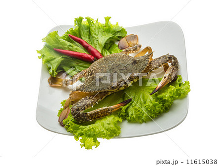 Raw crab 11615038