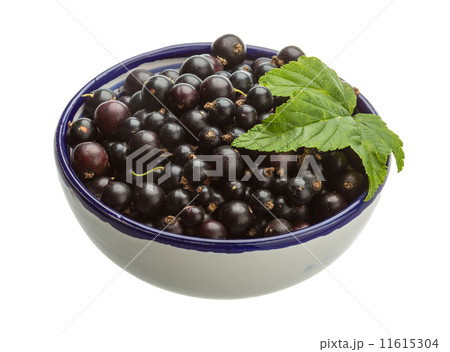 Black currant Black currant 11615304