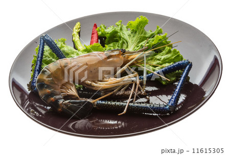 Freshwater prawn Freshwater prawn 11615305