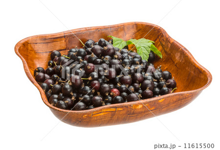 Black currant 11615500