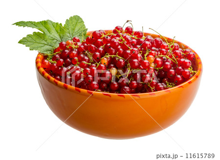 Red currant Red currant 11615789