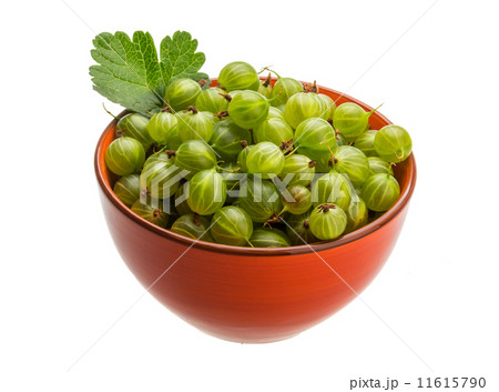 Gooseberries Gooseberries 11615790