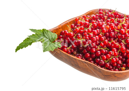 Red currant 11615795