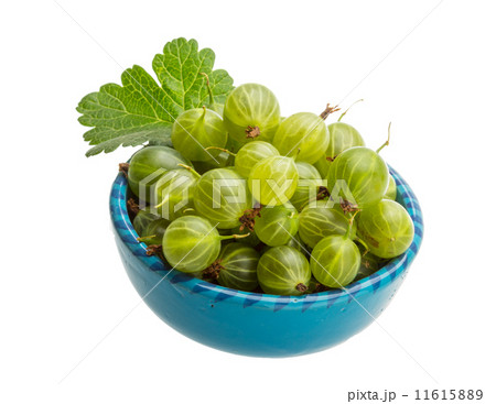 Gooseberries 11615889