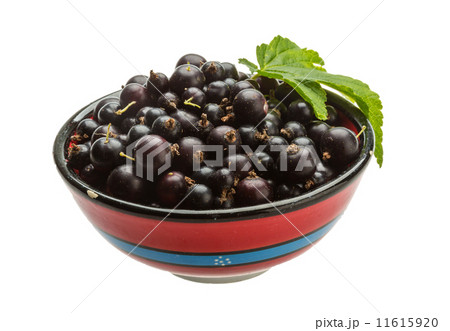 Black currant Black currant 11615920