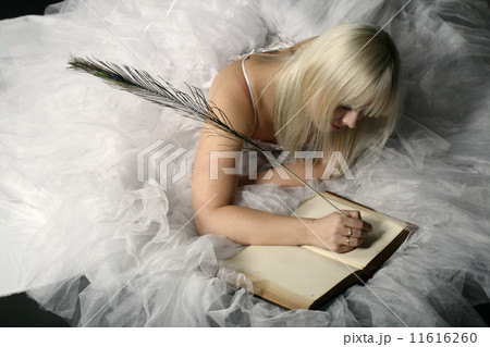 princess diary princess diary 11616260
