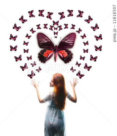 girl girl 11616507