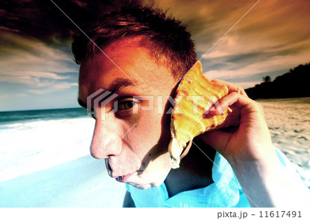shell phone 11617491