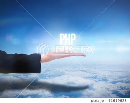 Businesswomans hand presenting the word php Businesswomans hand presenting the word php 11619623