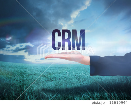 Businesswomans hand presenting the word crm 11619944