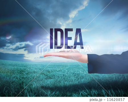 Businesswomans hand presenting the word idea Businesswomans hand presenting the word idea 11620857