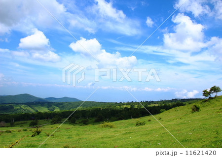 菅平高原 菅平高原 11621420