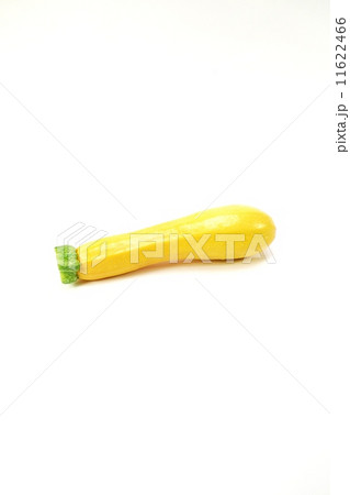 スパゲティー野菜・黄色の細長ズッキーニ「オーラム」１本・縦位置 11622466