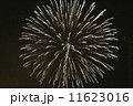花火 11623016