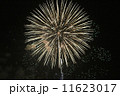 花火 11623017