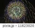 花火 11623020