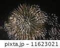 花火 11623021