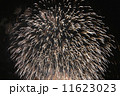 花火 11623023