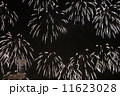 花火 11623028