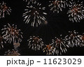 花火 11623029