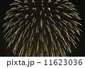 花火 11623036