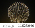 花火 11623040