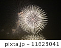 花火 11623041