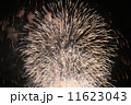 花火 11623043